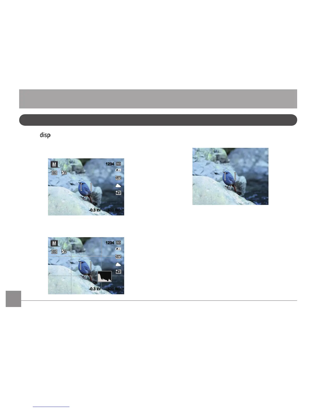 Page #19 background image