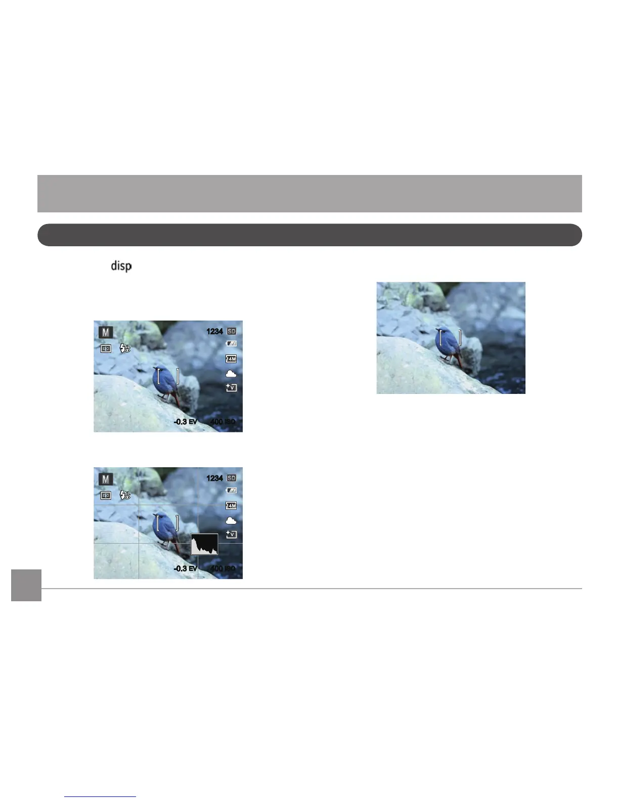 Page #19 background image
