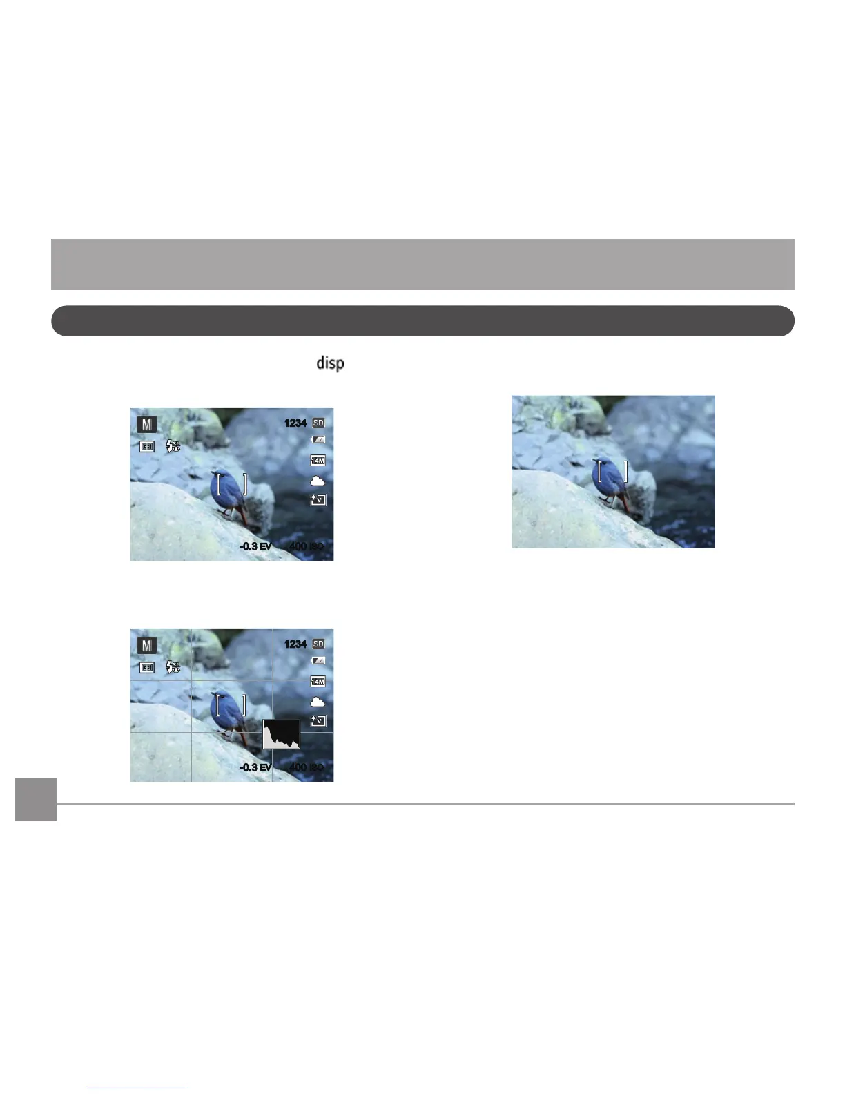 Page #19 background image