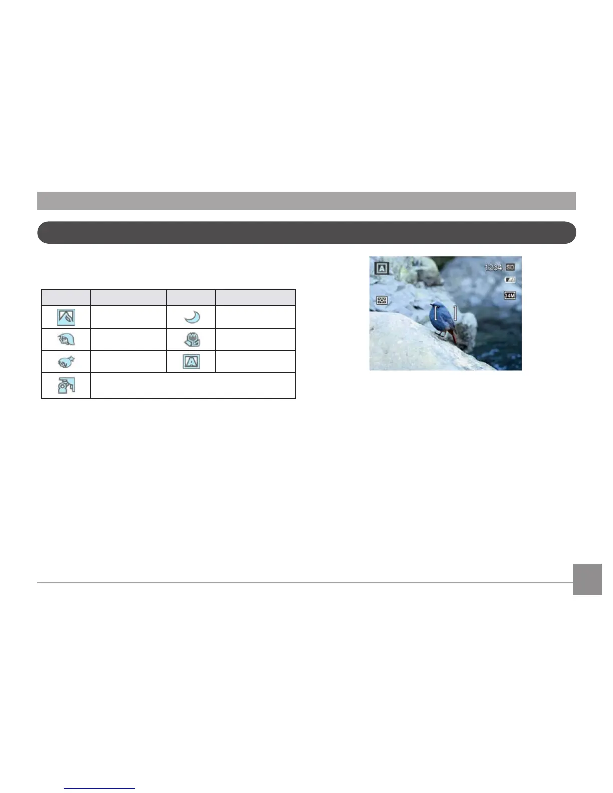 Page #30 background image