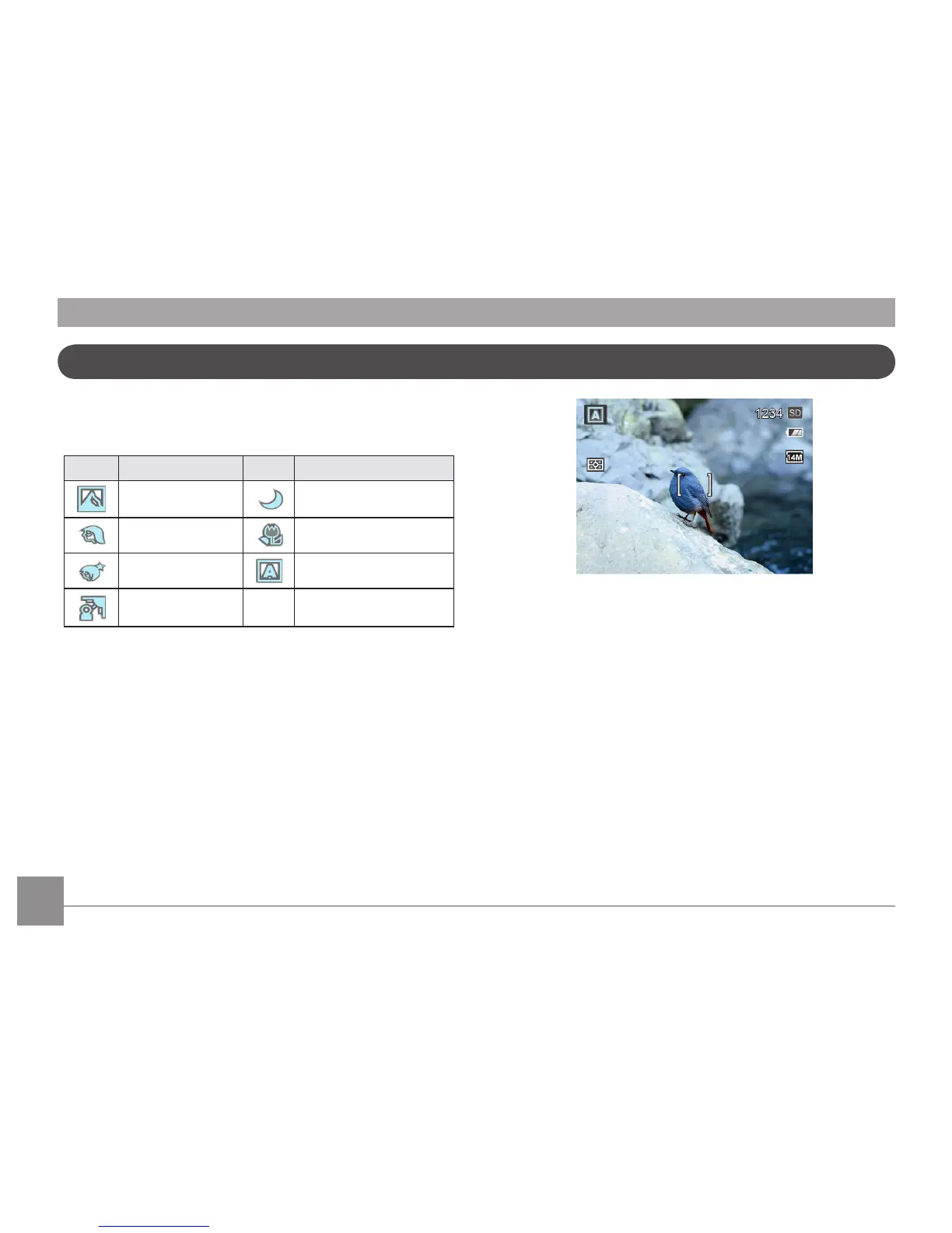 Page #31 background image