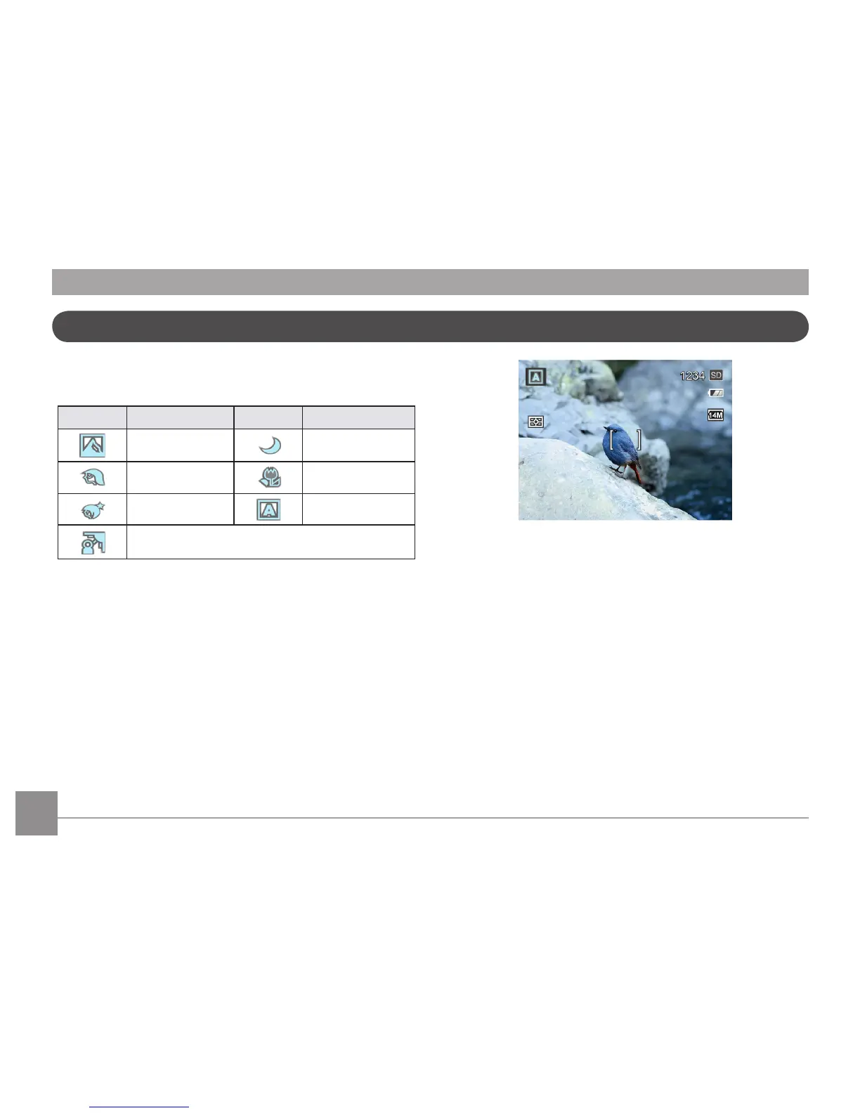 Page #31 background image