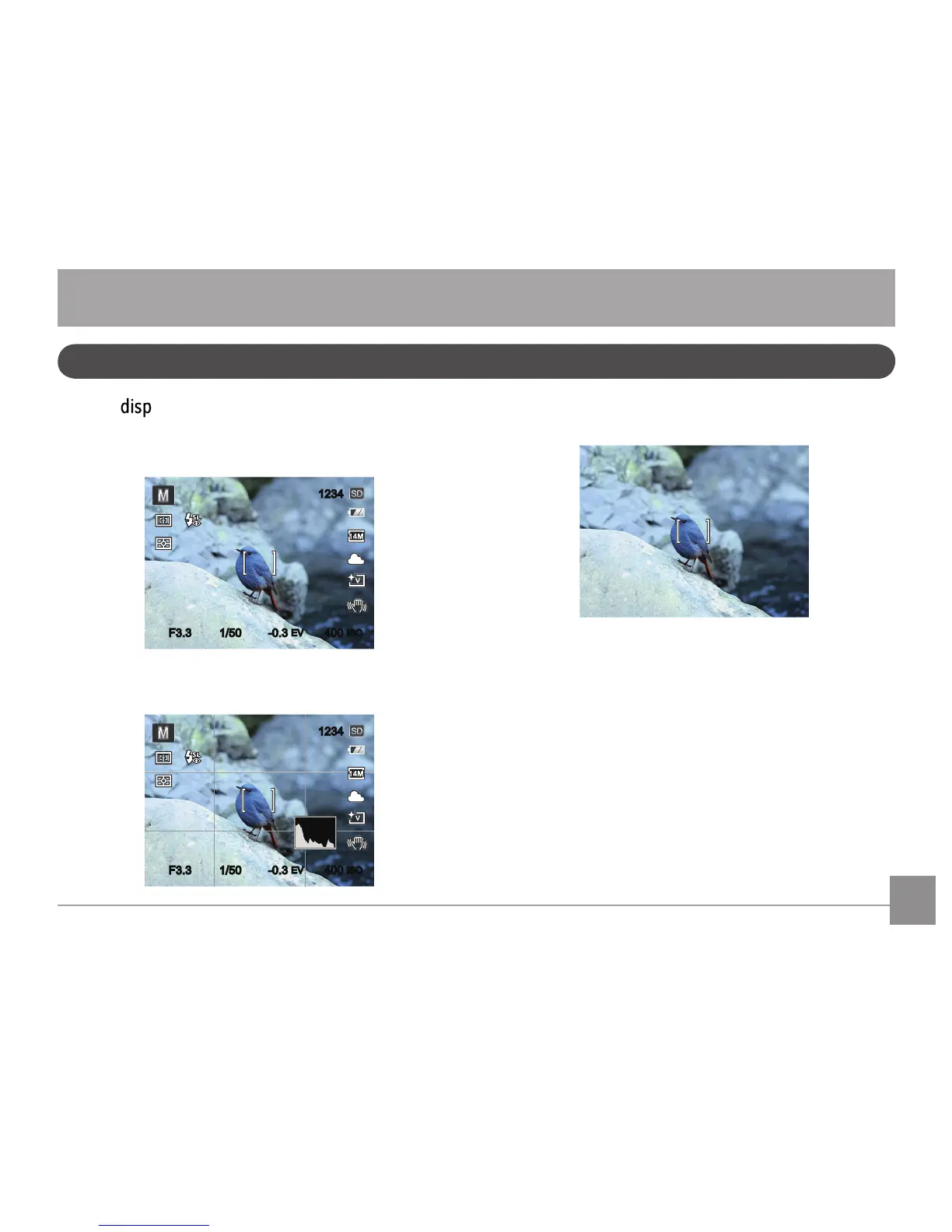Page #20 background image