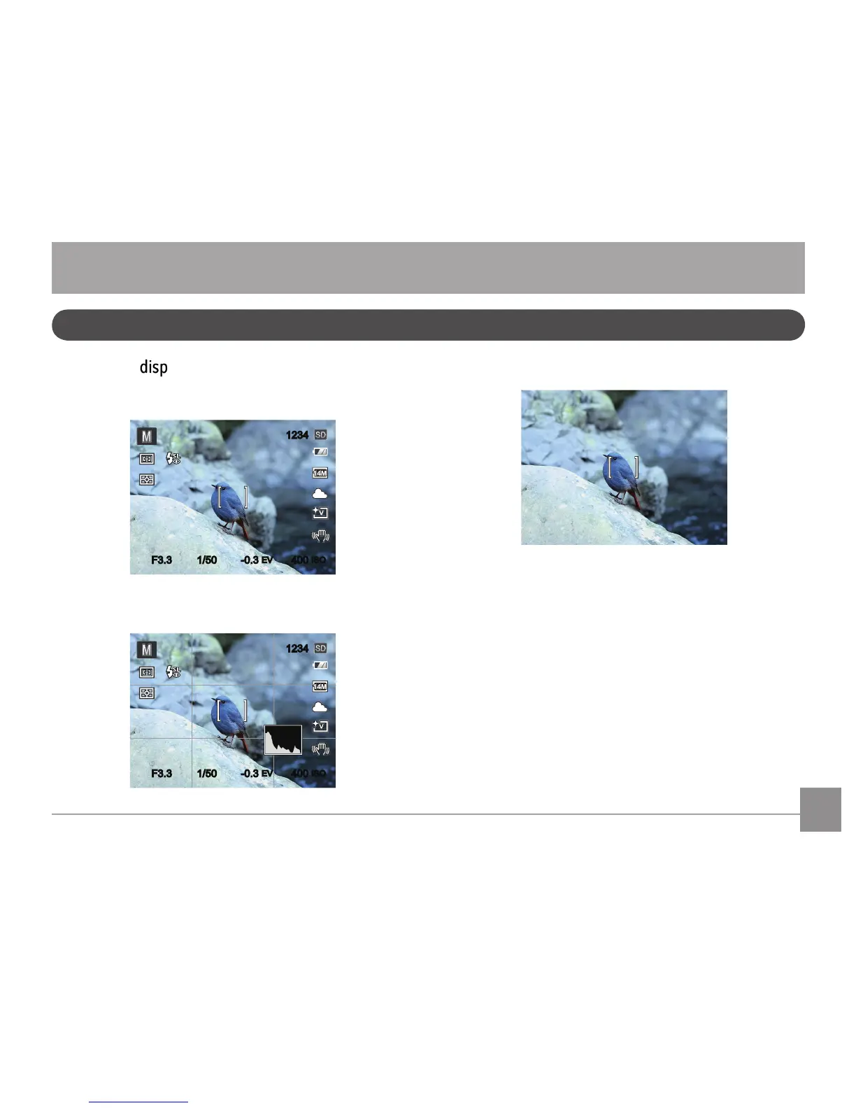 Page #20 background image