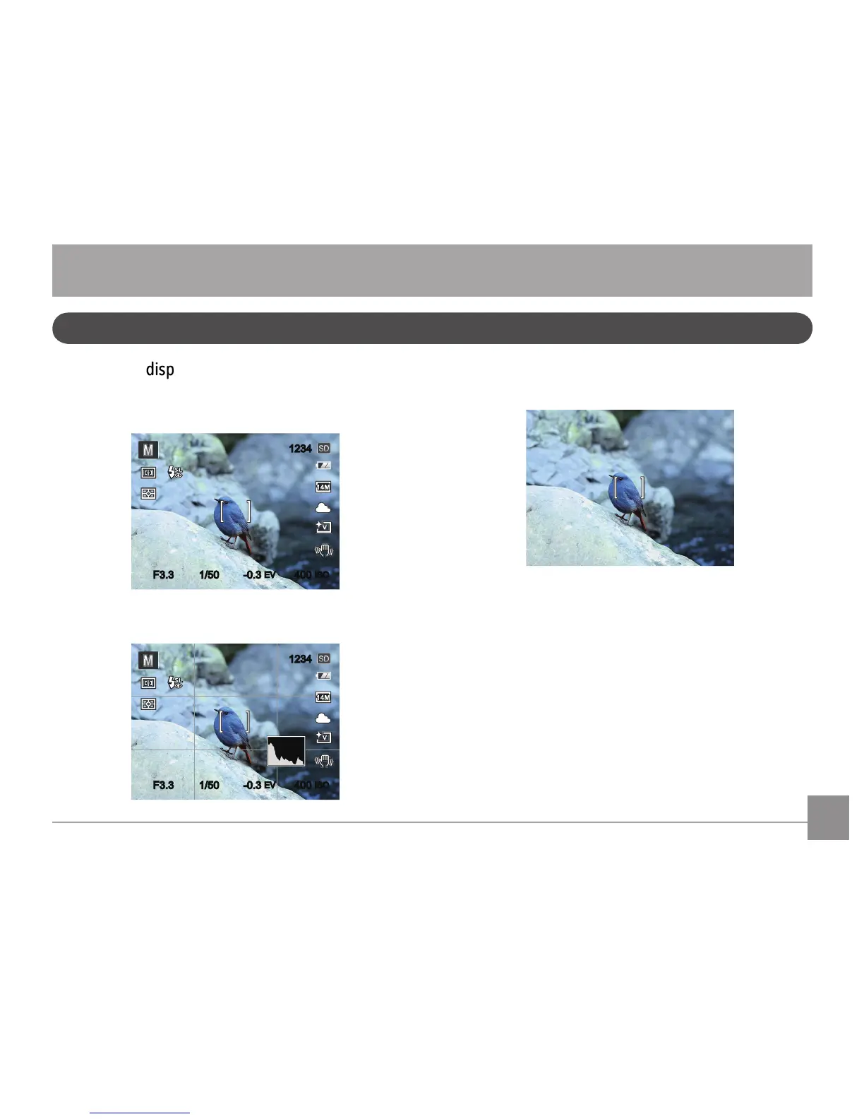 Page #20 background image
