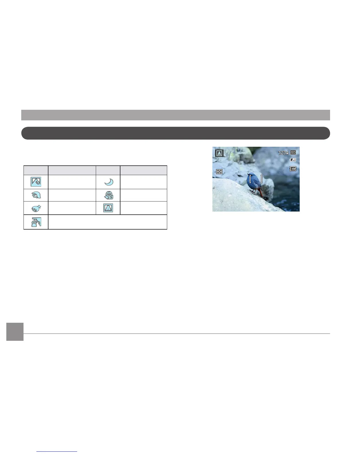 Page #31 background image
