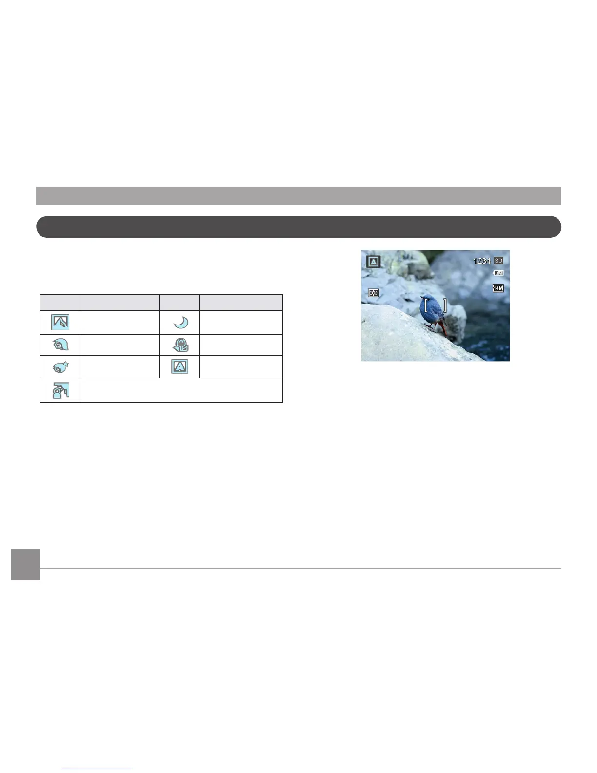 Page #31 background image