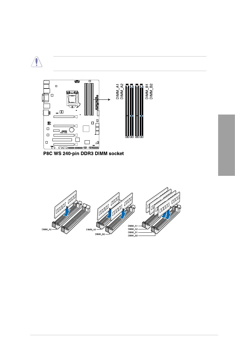 Page #23 background image