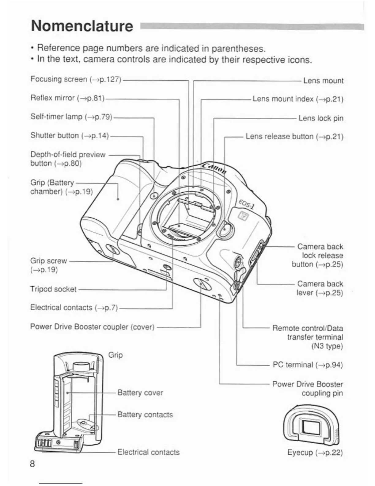Page #8 background image
