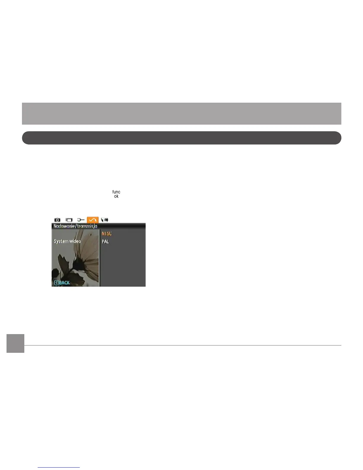 Page #69 background image