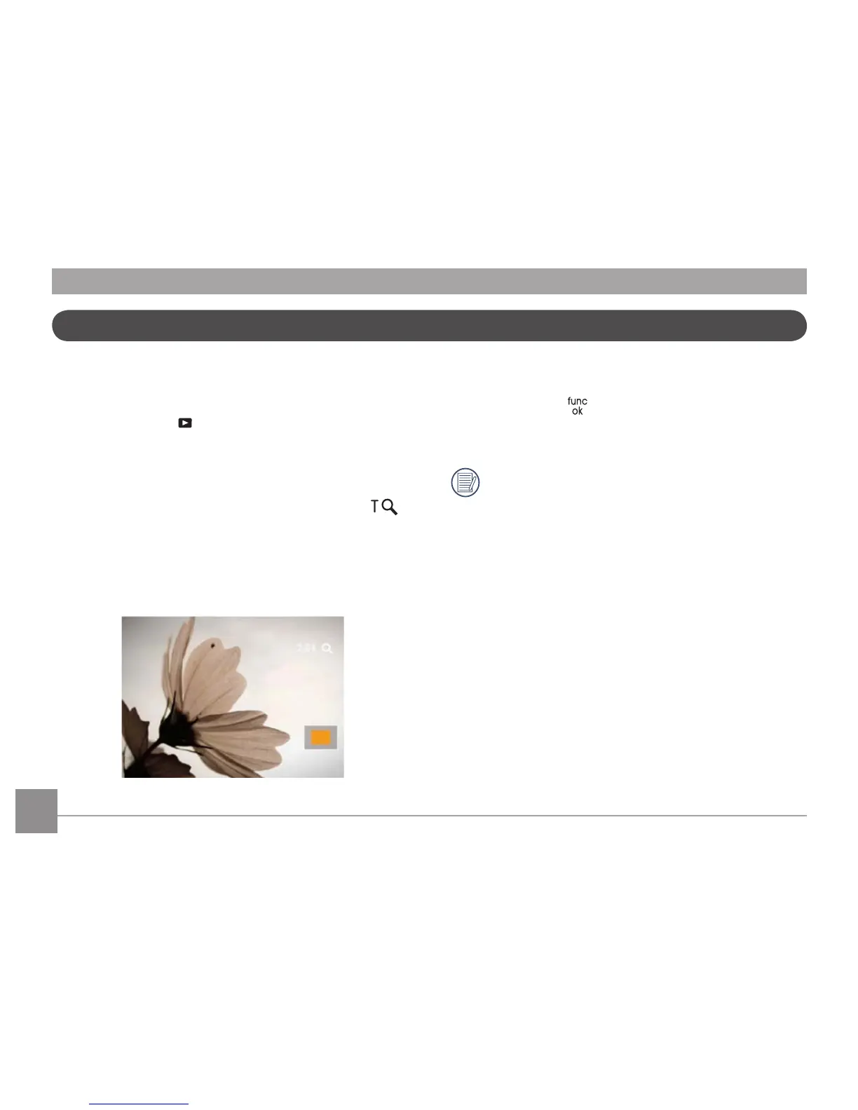 Page #43 background image