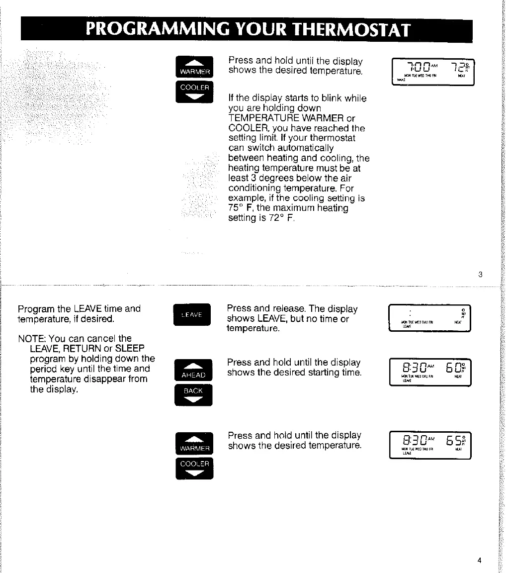 Page #4 background image