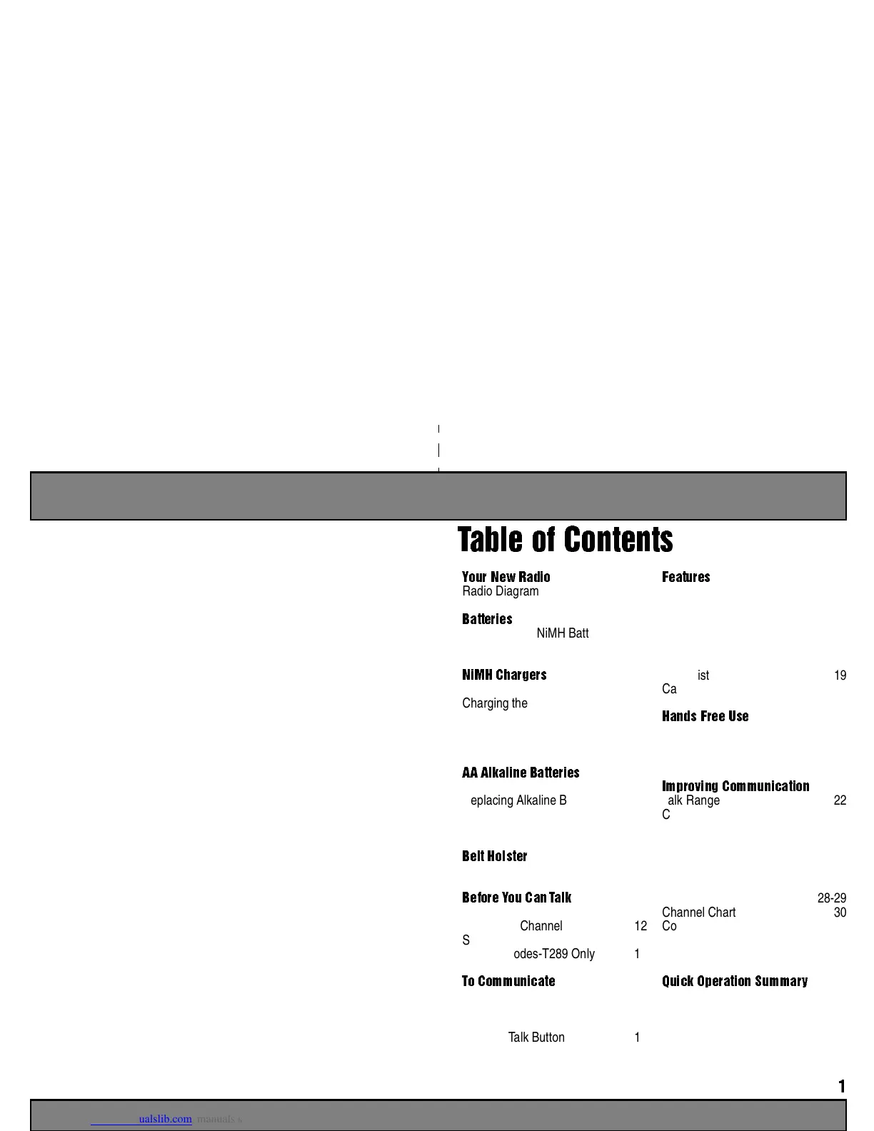 Page #2 background image
