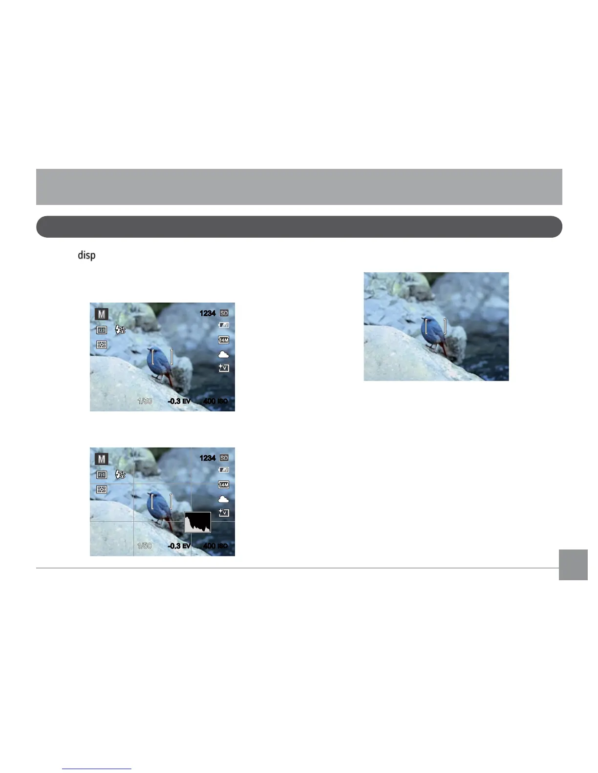 Page #20 background image
