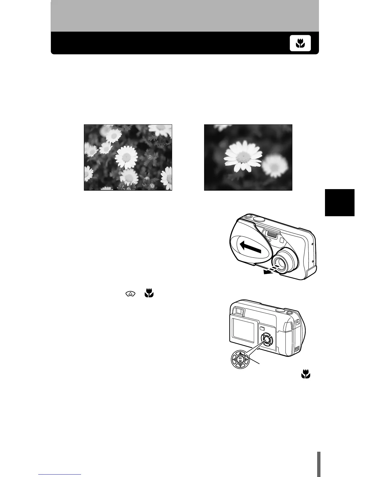 Page #62 background image