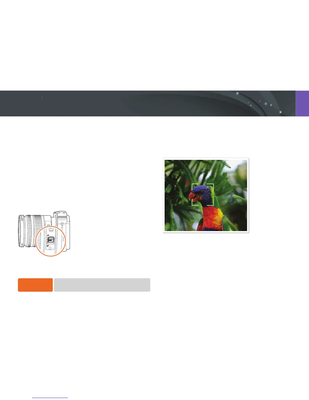 Page #66 background image