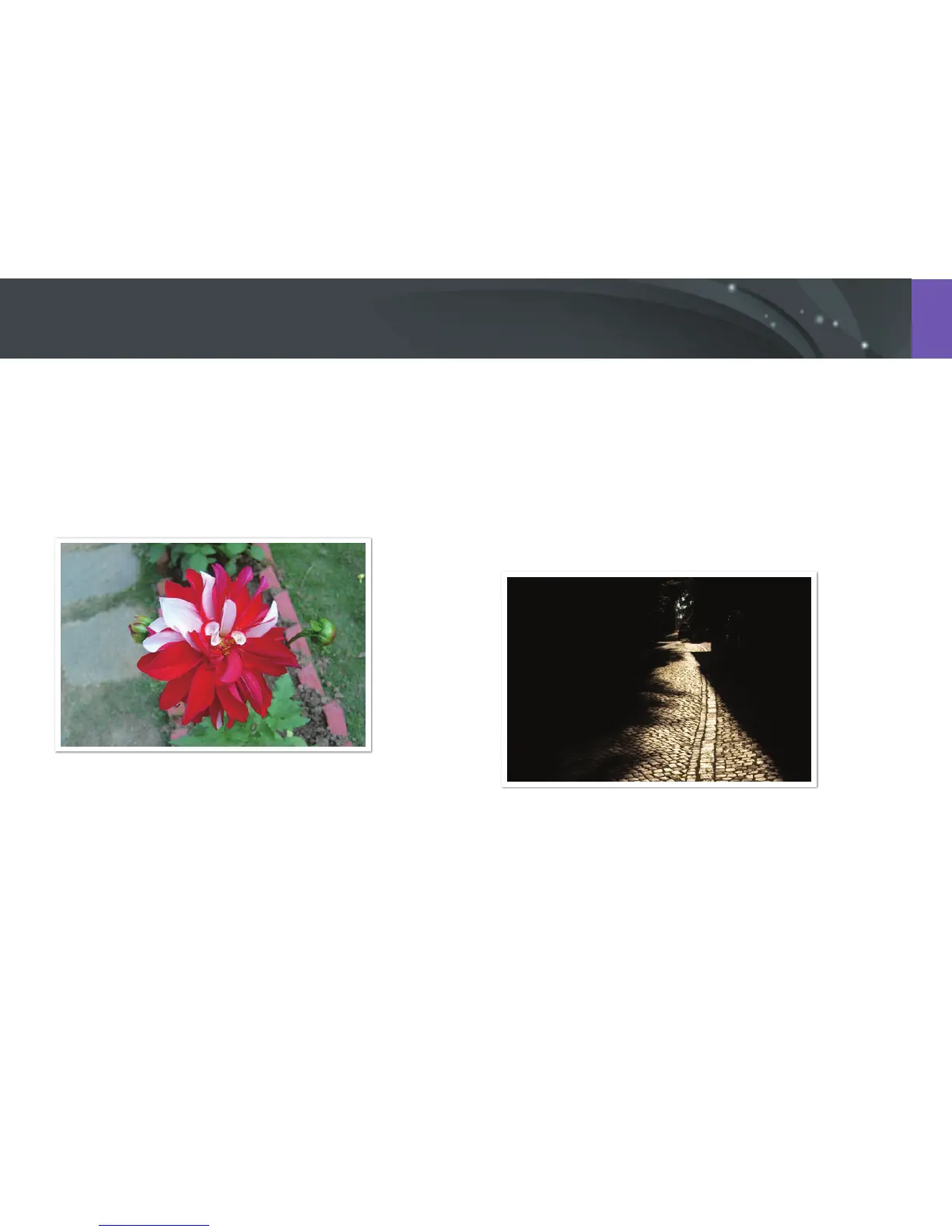 Page #81 background image