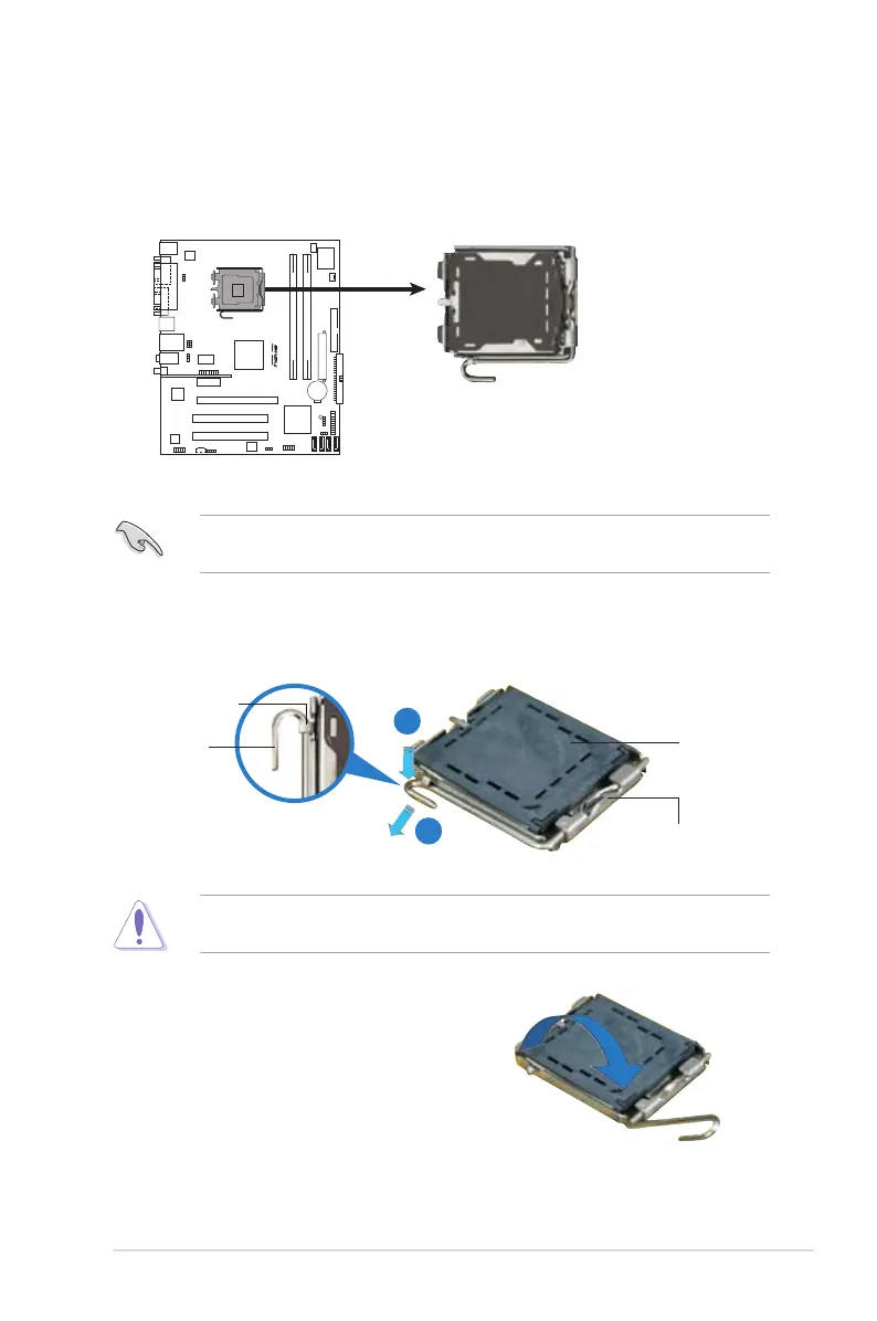 Page #23 background image