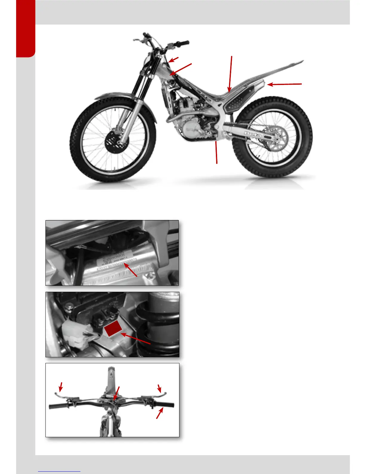 Page #6 background image