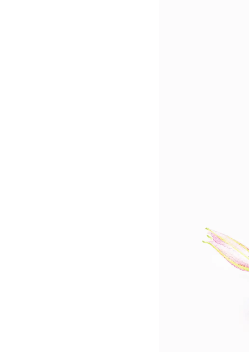 Page #269 background image