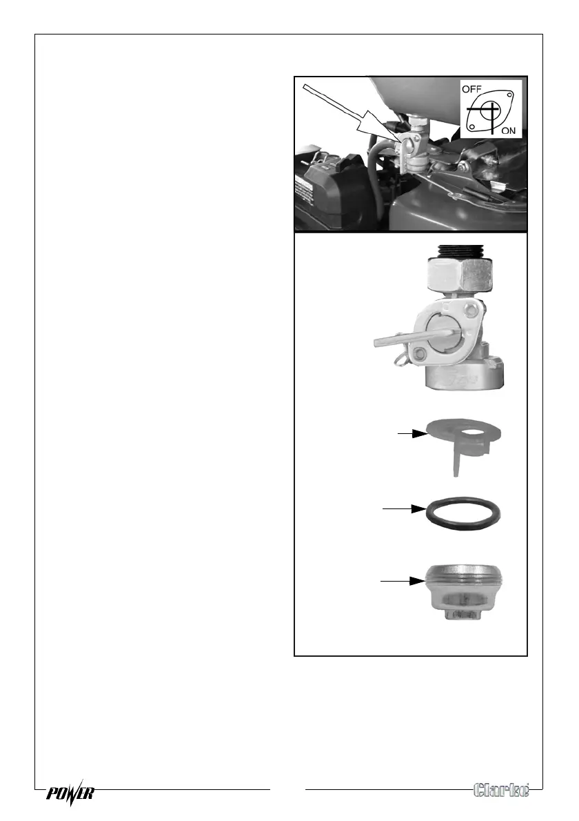 Page #19 background image