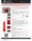Preview: Quick Start Guide