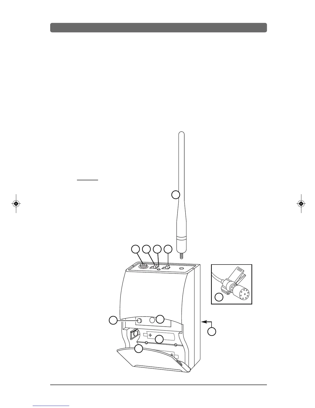 Page #11 background image