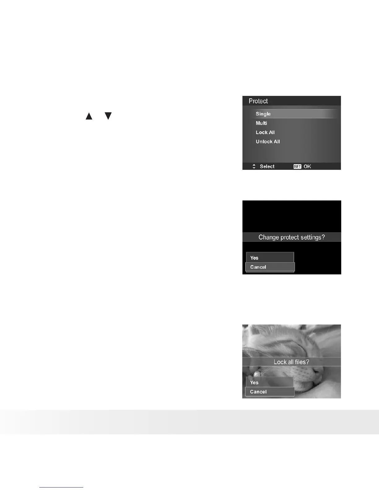 Page #64 background image