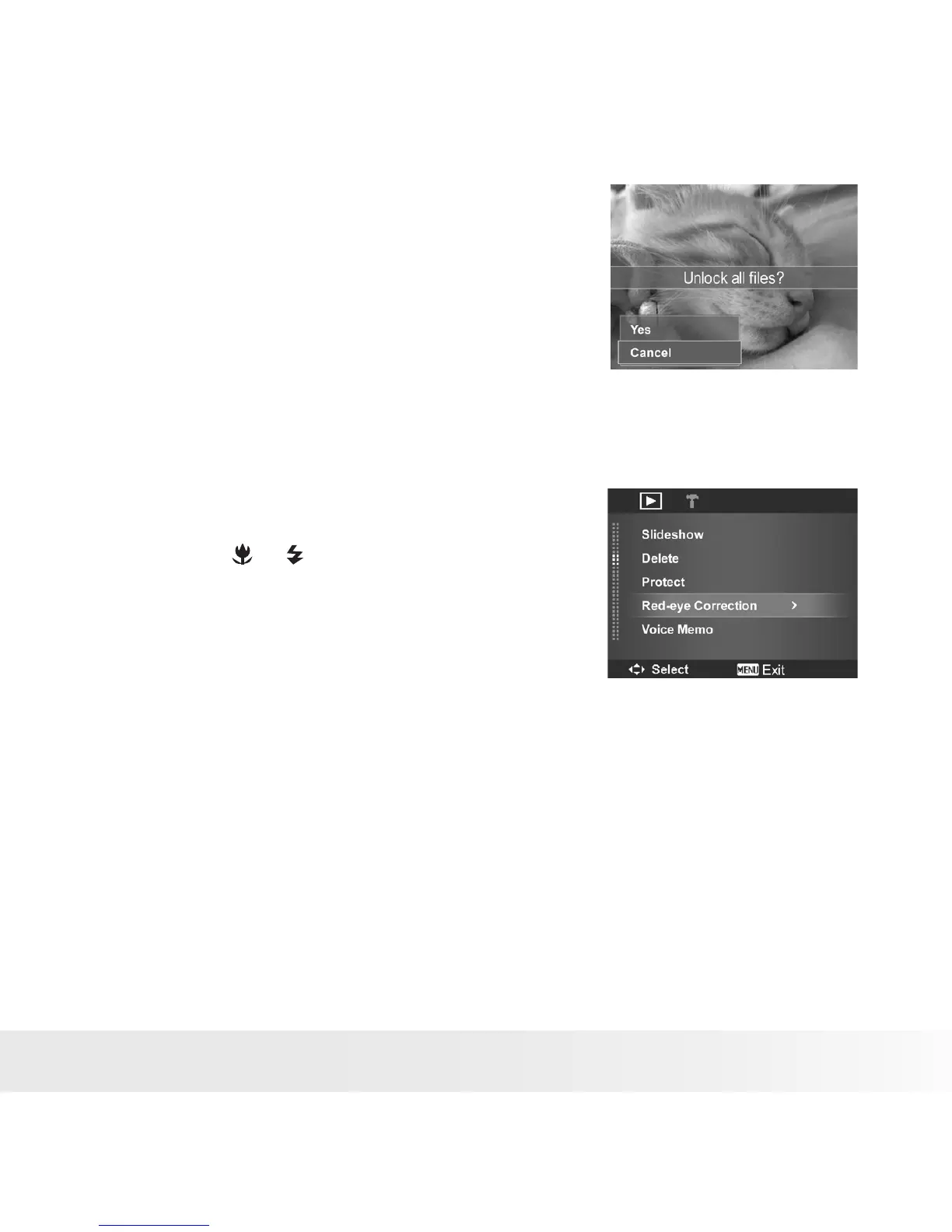 Page #65 background image