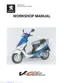 Preview: Workshop Manual