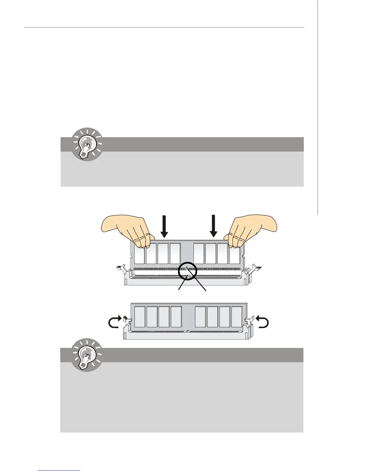 Page #19 background image