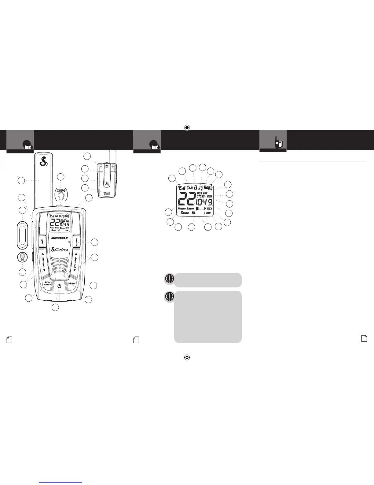 Page #2 background image