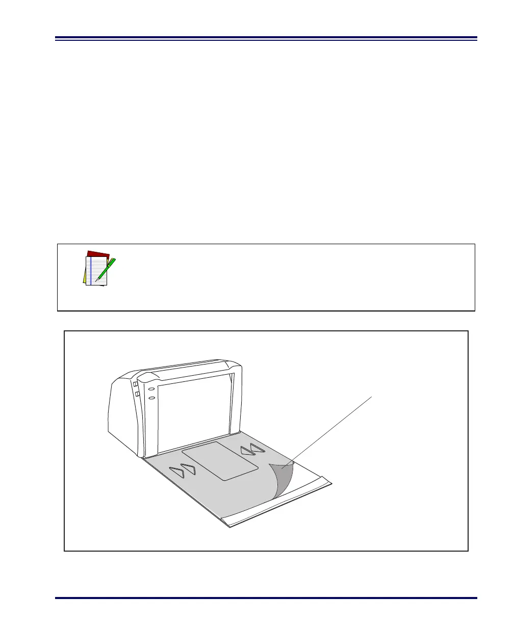 Page #45 background image