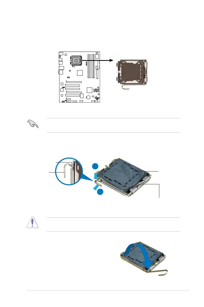 Page #31 background image