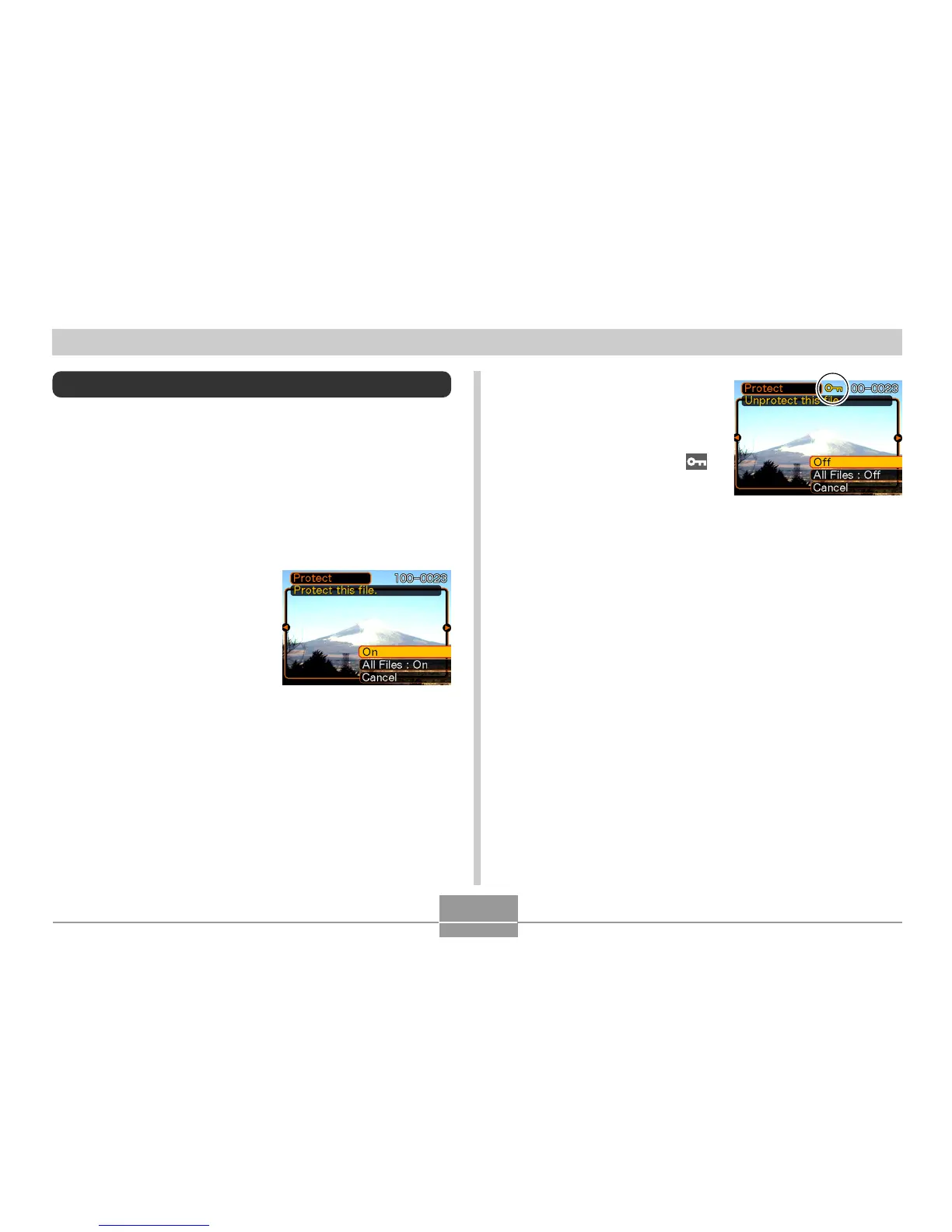 Page #66 background image