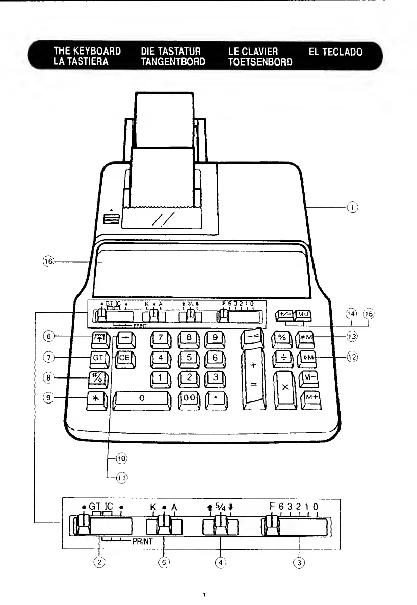 Page #2 background image