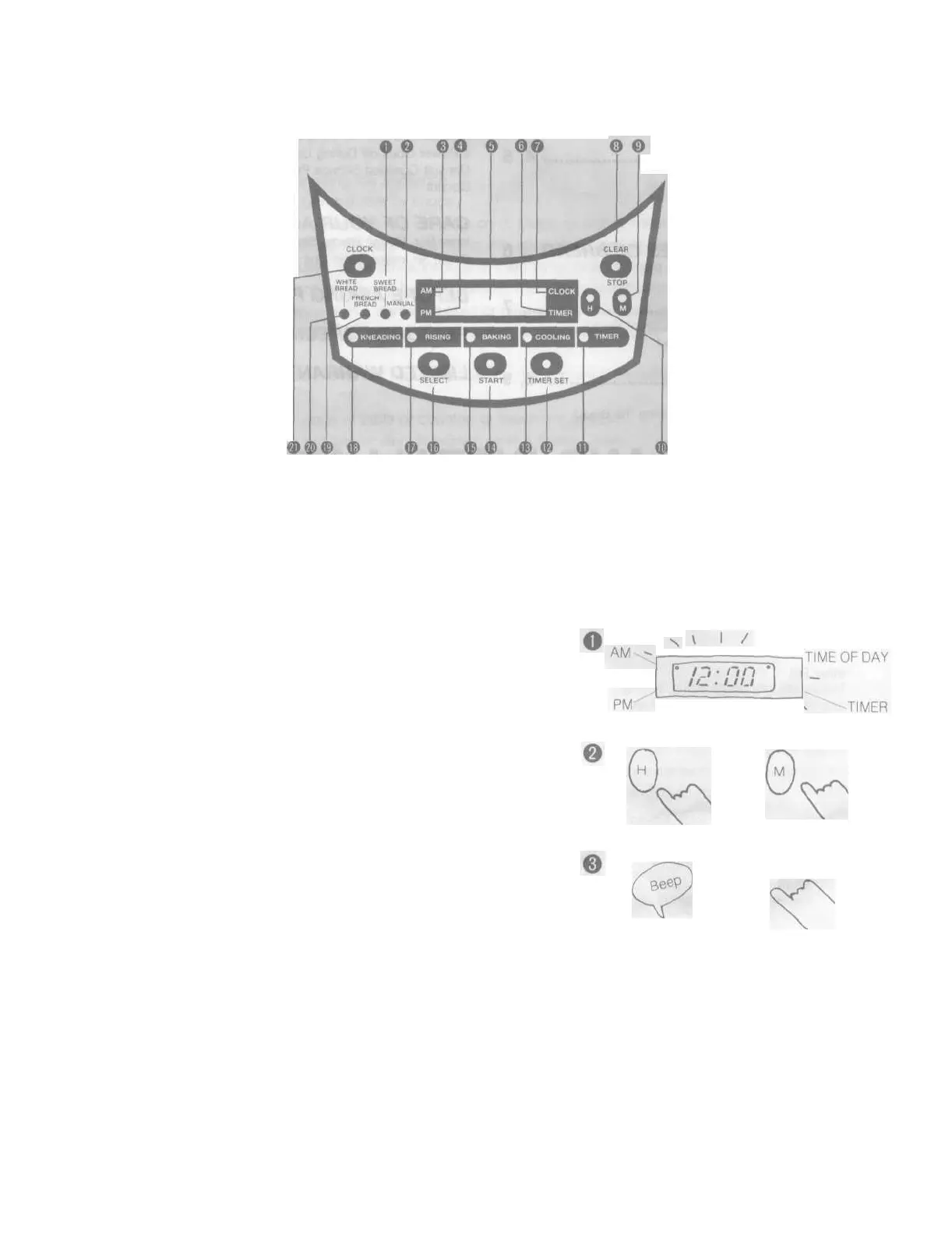 Page #4 background image