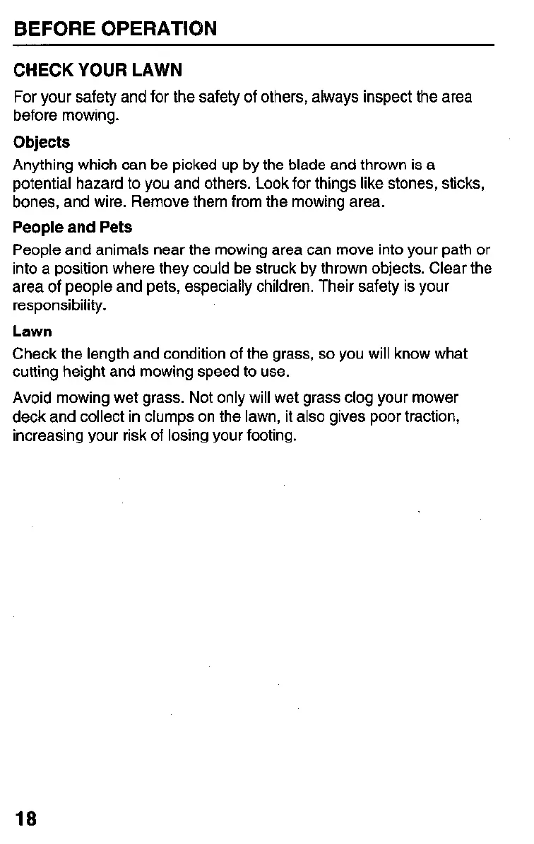 Page #19 background image