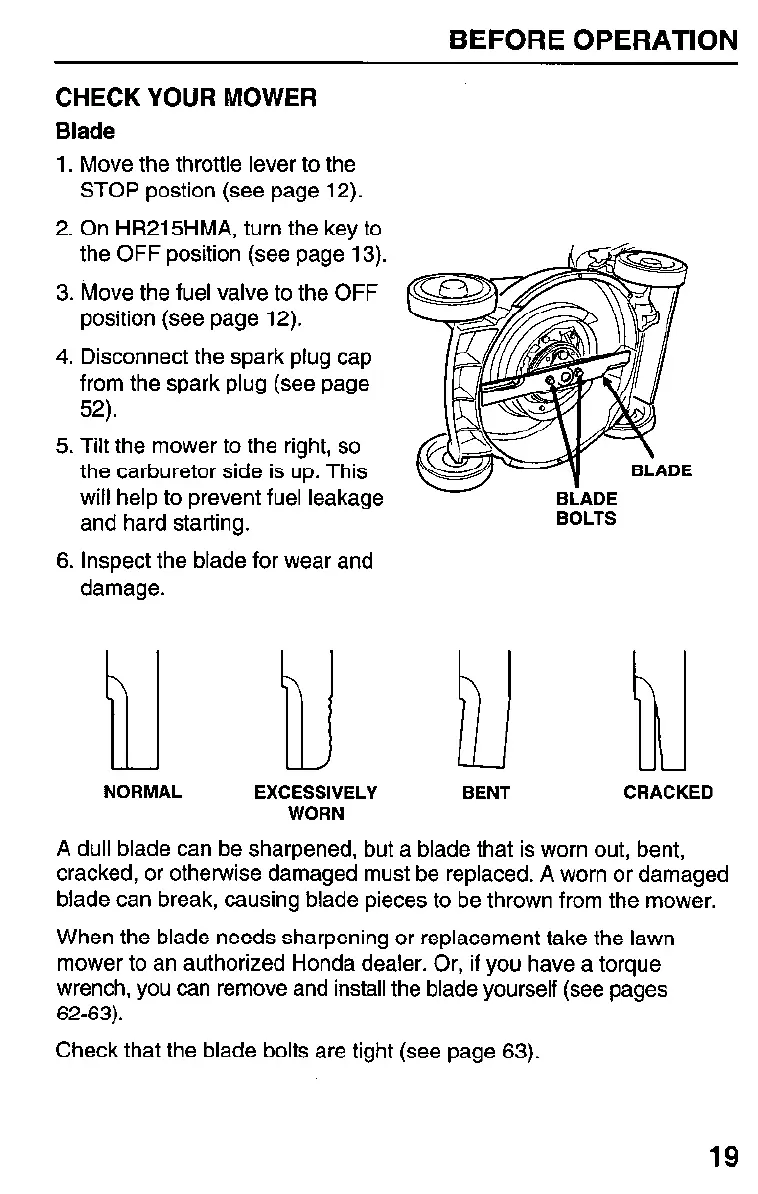 Page #20 background image