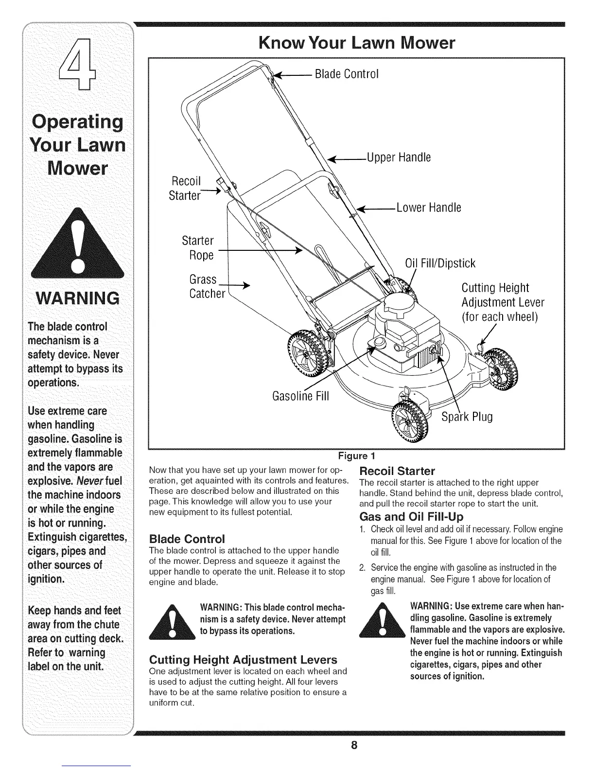 Page #8 background image
