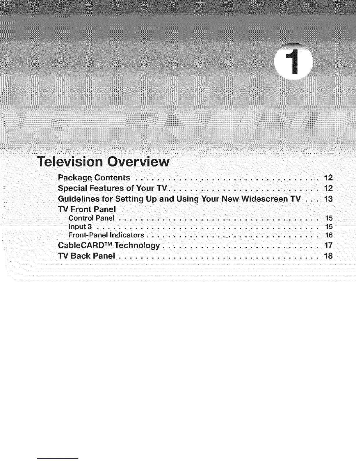 Page #10 background image