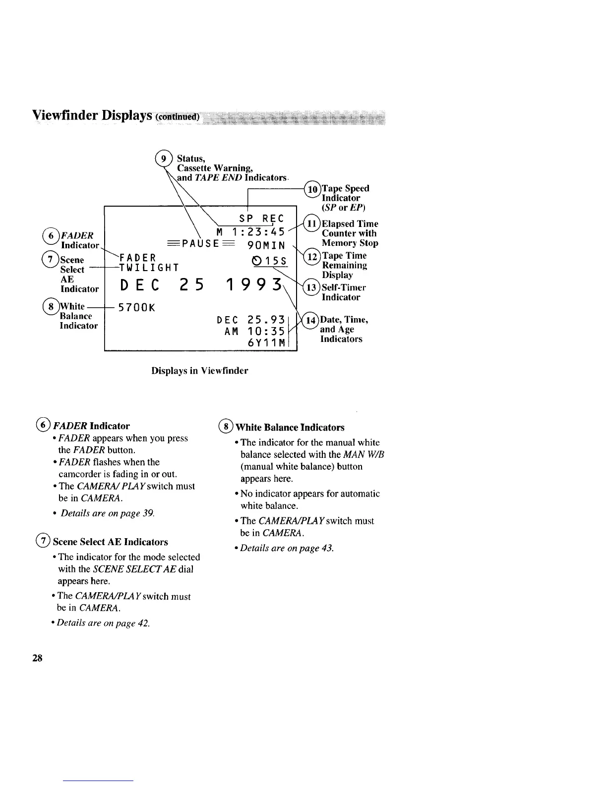 Page #36 background image