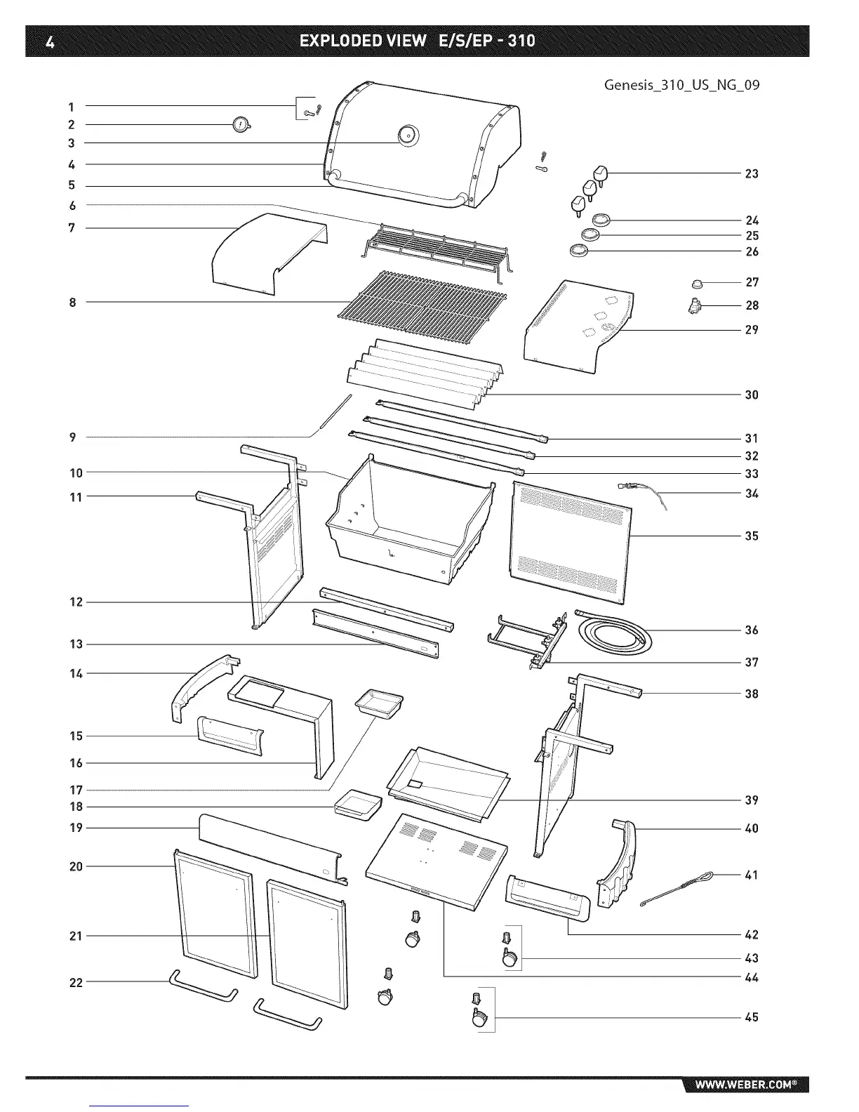 Page #4 background image