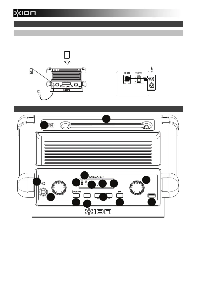 Page #3 background image