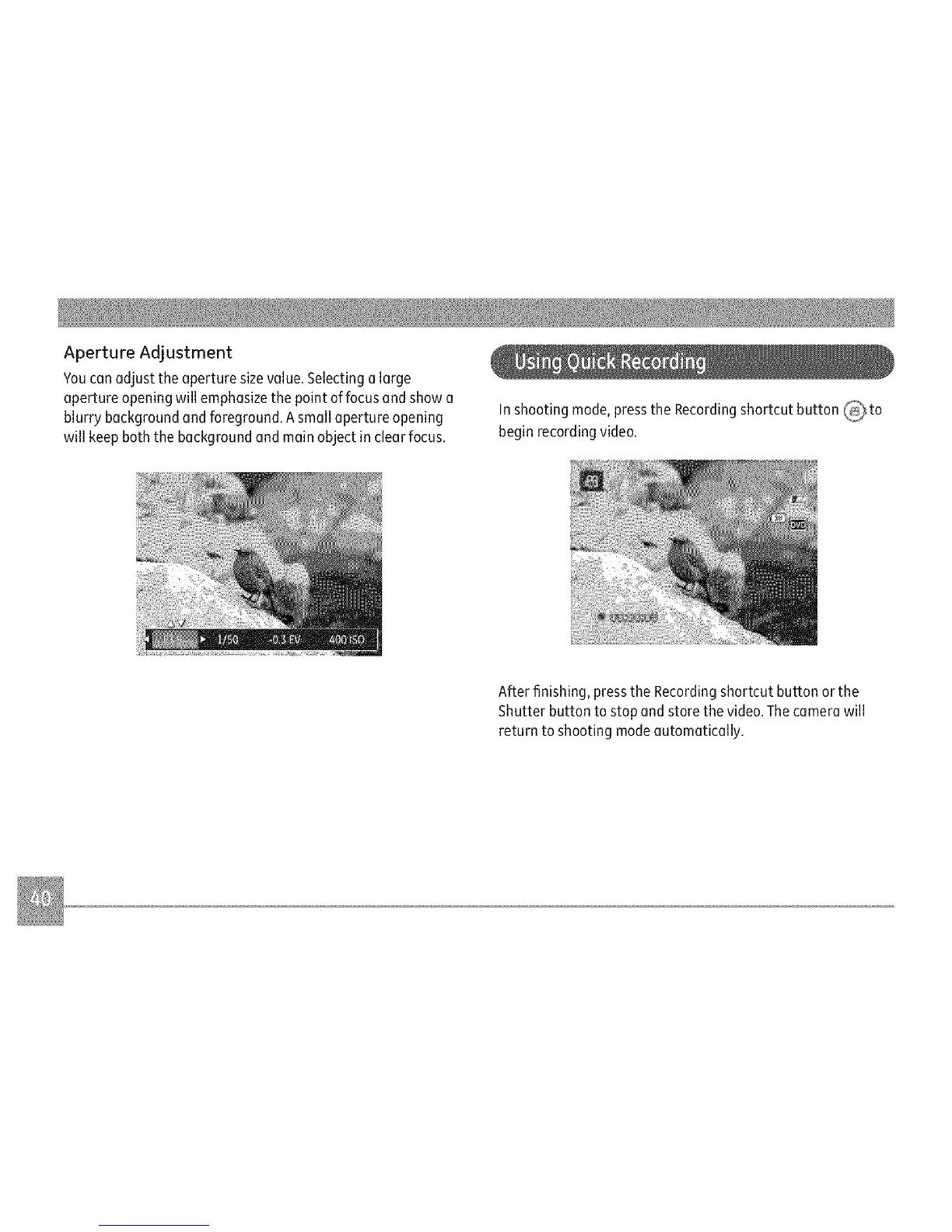 Page #43 background image