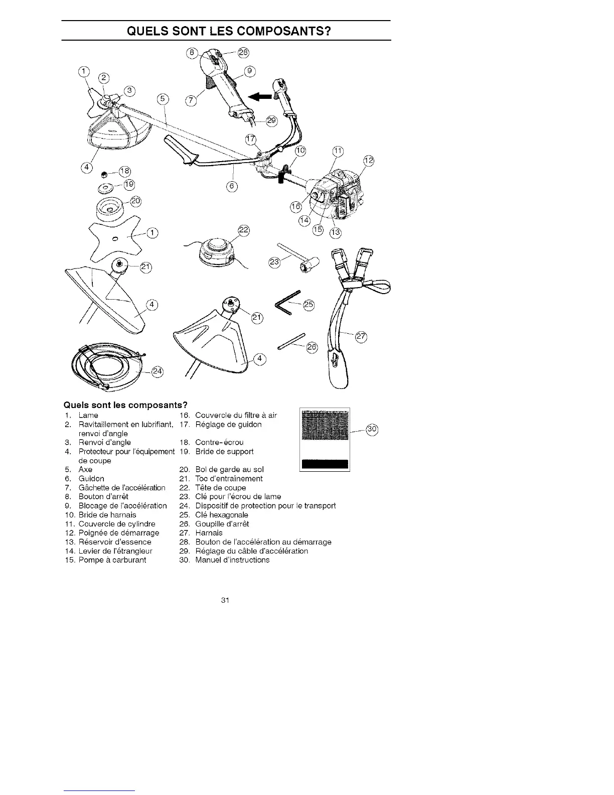 Page #31 background image