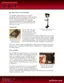 Preview: Brochure