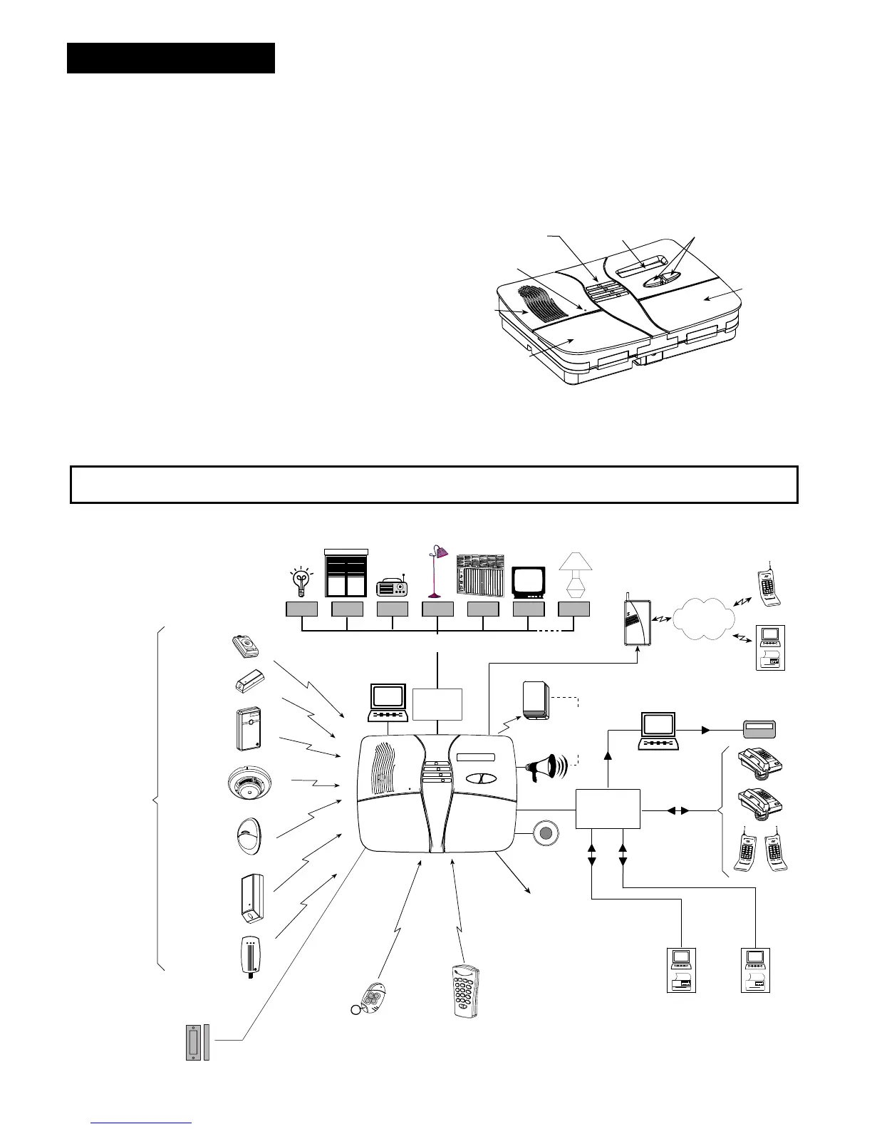 Page #4 background image