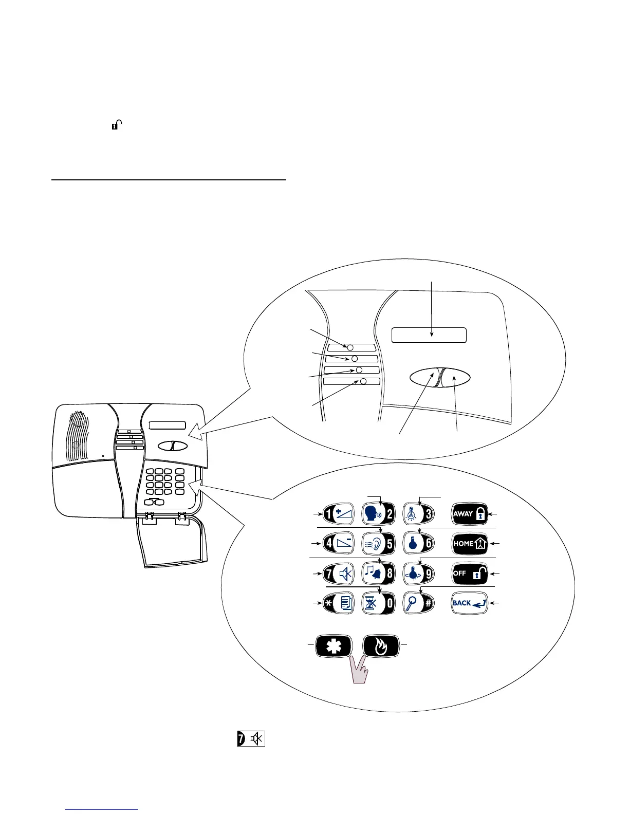 Page #6 background image