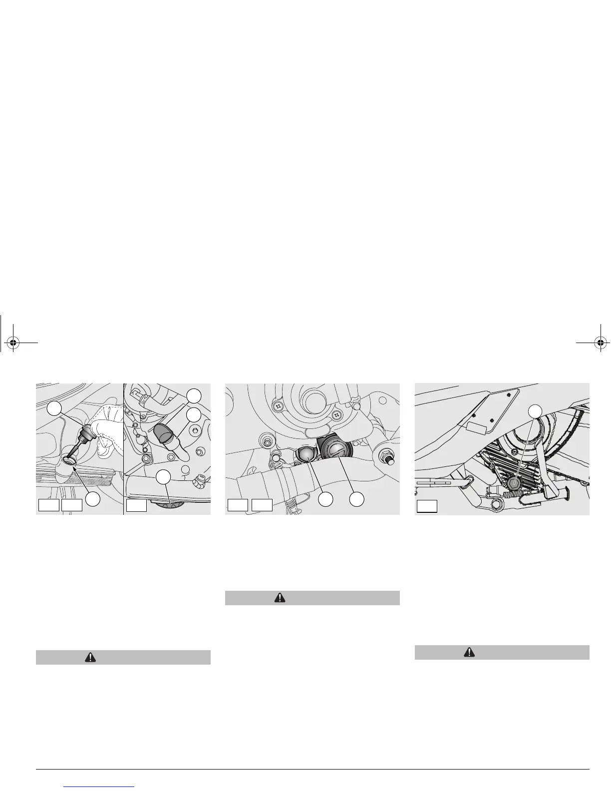 Page #49 background image
